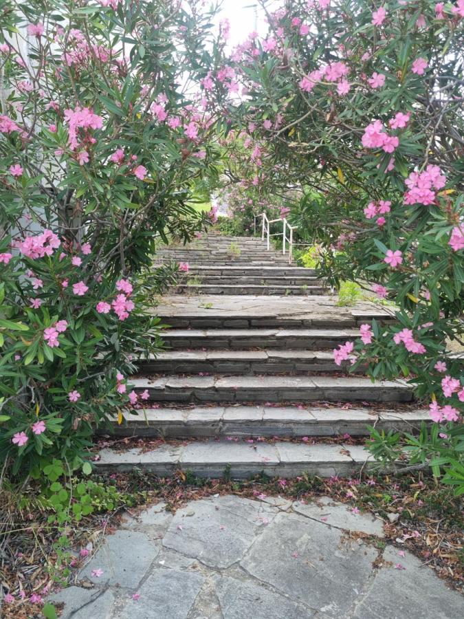 Ellis-Suites Nea Peramos Kavala Bagian luar foto
